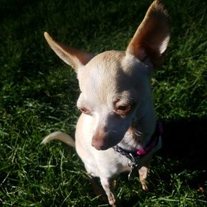 Meet your Posher, Jackie